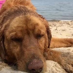 Meet your Posher, Corey